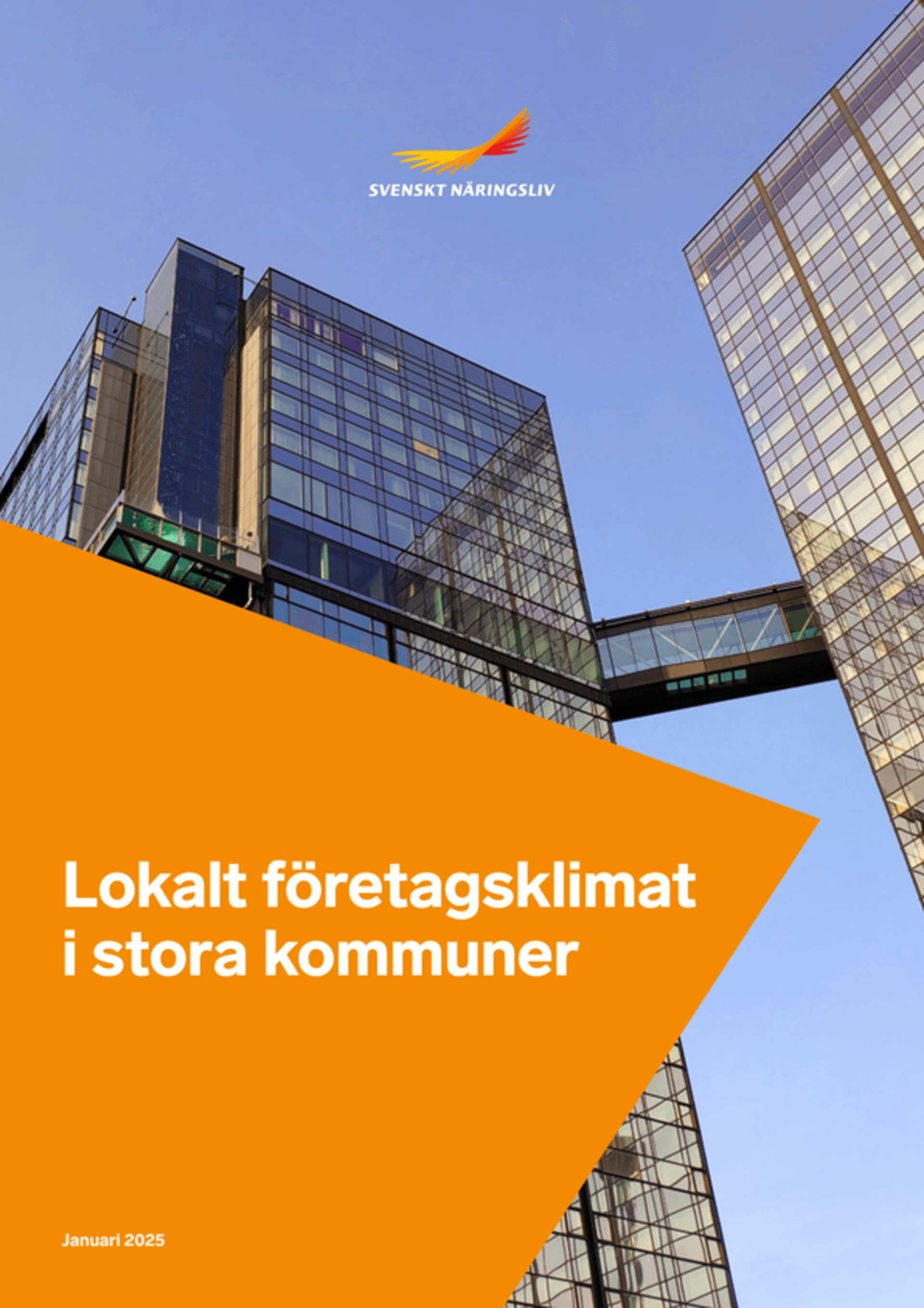 Lokalt företagsklimat i stora kommuner